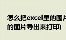 怎么把excel里的图片导出来(怎么把excel里的图片导出来打印)