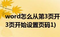 word怎么从第3页开始插入页码1(word从第3页开始设置页码1)