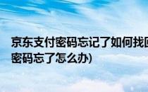 京东支付密码忘记了如何找回 【图文并茂I】(京东商城支付密码忘了怎么办)