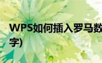 WPS如何插入罗马数字(wps怎么添加罗马数字)