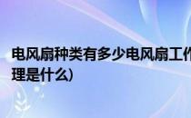 电风扇种类有多少电风扇工作原理是什么(电风扇的结构和原理是什么)