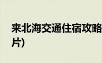 来北海交通住宿攻略(来北海交通住宿攻略图片)