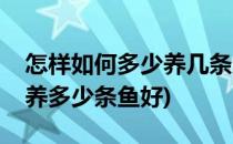 怎样如何多少养几条多少条鱼最好(家里一般养多少条鱼好)