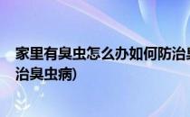 家里有臭虫怎么办如何防治臭虫(家里有臭虫怎么办?如何防治臭虫病)