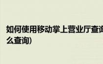 如何使用移动掌上营业厅查询业务和办理(移动网上营业厅怎么查询)