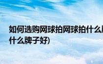 如何选购网球拍网球拍什么牌子好(如何选购网球拍,网球拍什么牌子好)