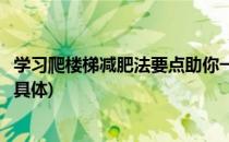 学习爬楼梯减肥法要点助你一月狂甩二十五斤(爬楼梯减肥法具体)