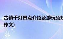 古镇千灯景点介绍及游玩须知(古镇千灯景点介绍及游玩须知作文)