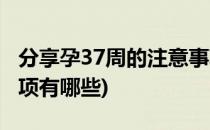 分享孕37周的注意事项(分享孕37周的注意事项有哪些)