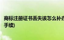 商标注册证书丢失该怎么补办(商标注册证书丢失该怎么补办手续)