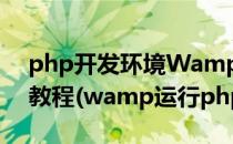 php开发环境Wamp Server WAMP5安装教程(wamp运行php)