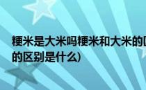 粳米是大米吗粳米和大米的区别(粳米是大米吗?粳米和大米的区别是什么)