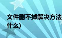 文件删不掉解决方法(文件删不掉解决方法是什么)