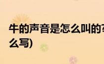 牛的声音是怎么叫的?(牛的声音是怎么叫的怎么写)