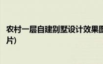 农村一层自建别墅设计效果图(农村一层自建别墅设计效果图片)