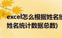 excel怎么根据姓名统计数据(excel怎么根据姓名统计数据总数)