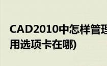 CAD2010中怎样管理选项卡和面板(cad中常用选项卡在哪)