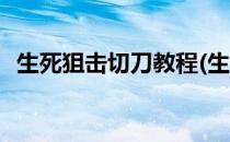 生死狙击切刀教程(生死狙击切刀教程图解)