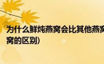 为什么鲜炖燕窝会比其他燕窝受欢迎(自己炖的燕窝和鲜炖燕窝的区别)