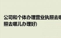 公司和个体办理营业执照去哪儿办理(公司和个体办理营业执照去哪儿办理好)