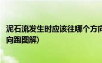 泥石流发生时应该往哪个方向跑(泥石流发生时应该往哪个方向跑图解)