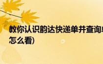 教你认识韵达快递单并查询单号(韵达快递单号查询查单号 怎么看)