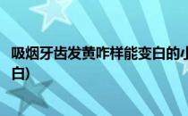 吸烟牙齿发黄咋样能变白的小经验(吸烟导致牙齿发黄如何变白)