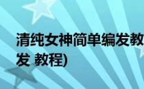 清纯女神简单编发教程图解(小清新发型女编发 教程)