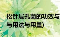 松针层孔菌的功效与用法(松针层孔菌的功效与用法与用量)