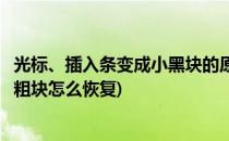 光标、插入条变成小黑块的原因及解决办法(光标变成了黑色粗块怎么恢复)