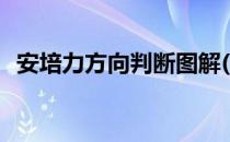 安培力方向判断图解(安培力的方向怎么看)