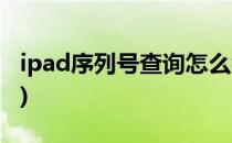 ipad序列号查询怎么看(ipad怎么查看序列号)