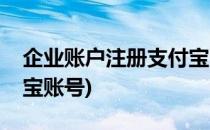 企业账户注册支付宝网站攻略(企业注册支付宝账号)