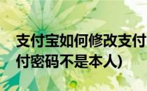 支付宝如何修改支付密码(支付宝如何修改支付密码不是本人)