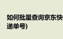 如何批量查询京东快递(如何批量查询京东快递单号)