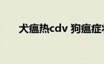 犬瘟热cdv 狗瘟症状(犬瘟热cdv数值)