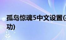 孤岛惊魂5中文设置(孤岛惊魂5中文设置不成功)