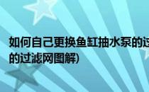 如何自己更换鱼缸抽水泵的过滤网(如何自己更换鱼缸抽水泵的过滤网图解)