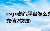 csgo蒸汽平台怎么充值(csgo蒸汽平台怎么充值2快钱)