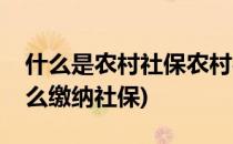 什么是农村社保农村社保怎么交(农村社保怎么缴纳社保)