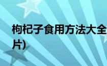 枸杞子食用方法大全(枸杞子食用方法大全图片)