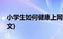 小学生如何健康上网(小学生如何健康上网作文)