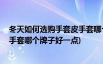 冬天如何选购手套皮手套哪个牌子好(冬天如何选购手套,皮手套哪个牌子好一点)