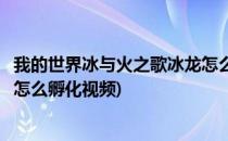 我的世界冰与火之歌冰龙怎么孵化(我的世界冰与火之歌冰龙怎么孵化视频)