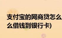 支付宝的网商贷怎么借钱(支付宝的网商贷怎么借钱到银行卡)