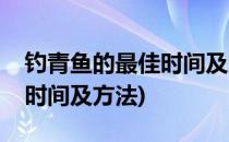 钓青鱼的最佳时间及方法(冬天钓青鱼的最佳时间及方法)