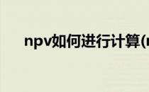 npv如何进行计算(npv如何计算excel)