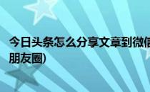 今日头条怎么分享文章到微信(今日头条怎么分享文章到微信朋友圈)