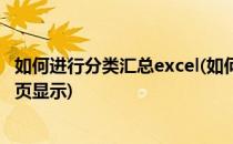 如何进行分类汇总excel(如何进行分类汇总,并将结果进行分页显示)