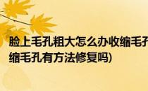 脸上毛孔粗大怎么办收缩毛孔有方法(脸上毛孔粗大怎么办收缩毛孔有方法修复吗)